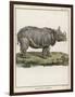 Fine Early Engraving of an African Rhinoceros-Benard-Framed Art Print