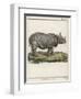 Fine Early Engraving of an African Rhinoceros-Benard-Framed Art Print