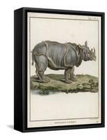 Fine Early Engraving of an African Rhinoceros-Benard-Framed Stretched Canvas