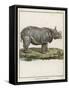 Fine Early Engraving of an African Rhinoceros-Benard-Framed Stretched Canvas