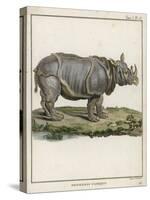 Fine Early Engraving of an African Rhinoceros-Benard-Stretched Canvas