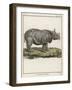 Fine Early Engraving of an African Rhinoceros-Benard-Framed Art Print