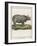 Fine Early Engraving of an African Rhinoceros-Benard-Framed Art Print