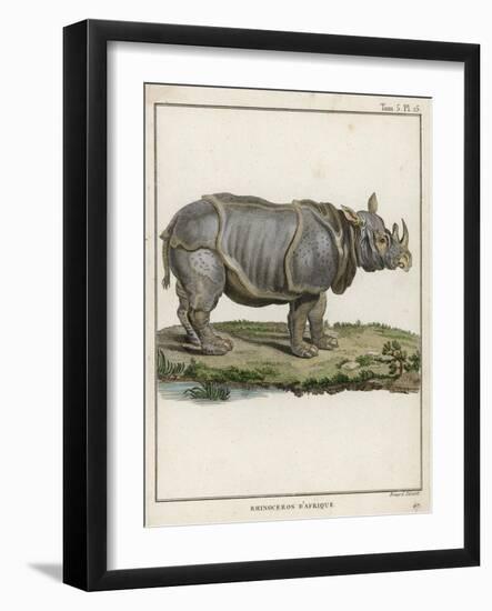 Fine Early Engraving of an African Rhinoceros-Benard-Framed Art Print