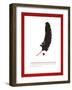 Fine Feathers-Addie Marie-Framed Art Print