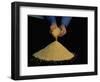 Fine Gold Granulate (999.9 Purity)-Ursula Gahwiler-Framed Photographic Print