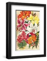 Fine Hardy Lilies-null-Framed Art Print