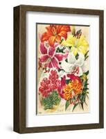 Fine Hardy Lilies-null-Framed Art Print