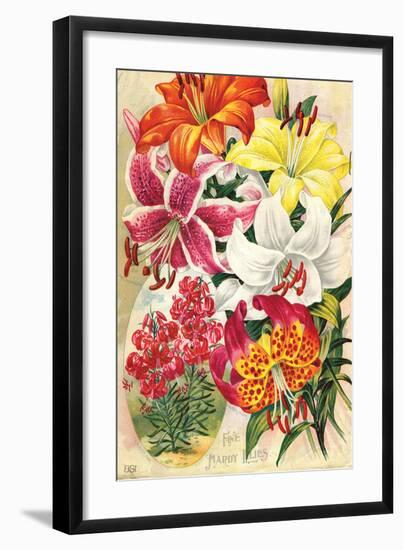 Fine Hardy Lilies-null-Framed Art Print