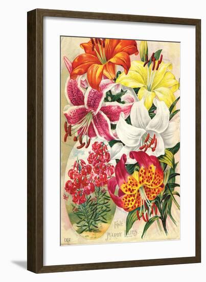 Fine Hardy Lilies-null-Framed Art Print