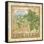 Fine Herbs I-Daphné B.-Framed Stretched Canvas