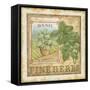 Fine Herbs I-Daphné B.-Framed Stretched Canvas