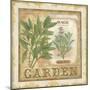 Fine Herbs II-Daphné B.-Mounted Giclee Print