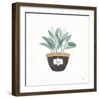 Fine Herbs VII-Janelle Penner-Framed Art Print