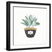 Fine Herbs VII-Janelle Penner-Framed Art Print