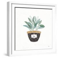 Fine Herbs VII-Janelle Penner-Framed Art Print