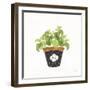 Fine Herbs VIII-Janelle Penner-Framed Art Print