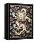 Fine Imperial Polychrome Black Lacquer Ink Cake Box Cover Depicting a Five Clawed Dragon-null-Framed Stretched Canvas