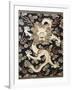 Fine Imperial Polychrome Black Lacquer Ink Cake Box Cover Depicting a Five Clawed Dragon-null-Framed Giclee Print