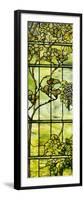 Fine Leaded Glass Triptych Window (Left Panel), circa 1908-Tiffany Studios-Framed Premium Giclee Print