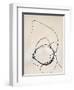 Fine Line 5-Design Fabrikken-Framed Art Print