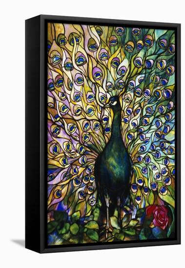 Fine Peacock Leaded Glass Domestic Window-Tiffany Studios-Framed Stretched Canvas
