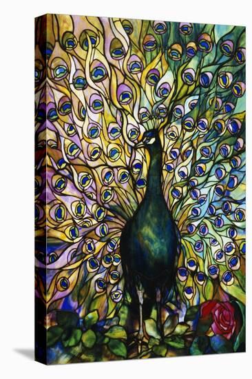Fine Peacock Leaded Glass Domestic Window-Tiffany Studios-Stretched Canvas