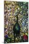 Fine Peacock Leaded Glass Domestic Window-Tiffany Studios-Mounted Giclee Print