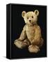 Fine Steiff Pale Golden Plush Covered Teddy Bear with Large Deep Set Black Button Eyes, circa 1910-Steiff-Framed Stretched Canvas