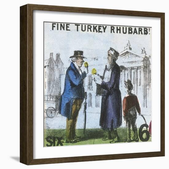 Fine Turkey Rhubarb!, Cries of London, C1840-TH Jones-Framed Giclee Print