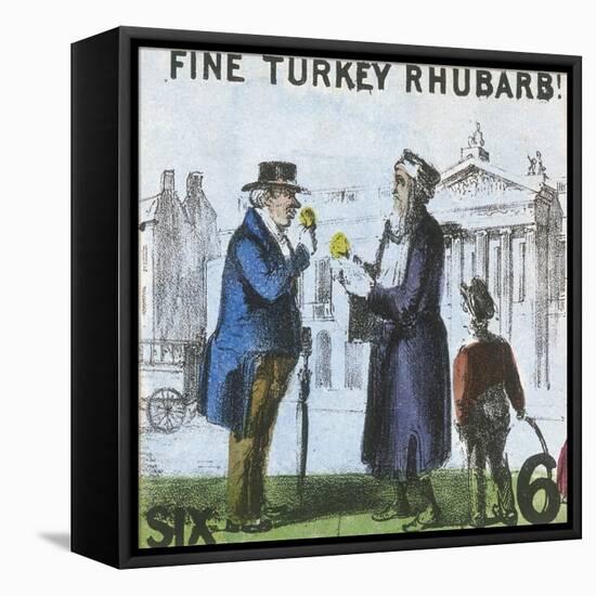 Fine Turkey Rhubarb!, Cries of London, C1840-TH Jones-Framed Stretched Canvas