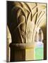 Finely Carved Capitals in the Cloisters, Iona Abbey, Isle of Iona, Scotland, United Kingdom, Europe-Patrick Dieudonne-Mounted Photographic Print