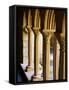 Finely Carved Capitals in the Cloisters, Iona Abbey, Isle of Iona, Scotland, United Kingdom, Europe-Patrick Dieudonne-Framed Stretched Canvas