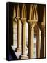 Finely Carved Capitals in the Cloisters, Iona Abbey, Isle of Iona, Scotland, United Kingdom, Europe-Patrick Dieudonne-Framed Stretched Canvas