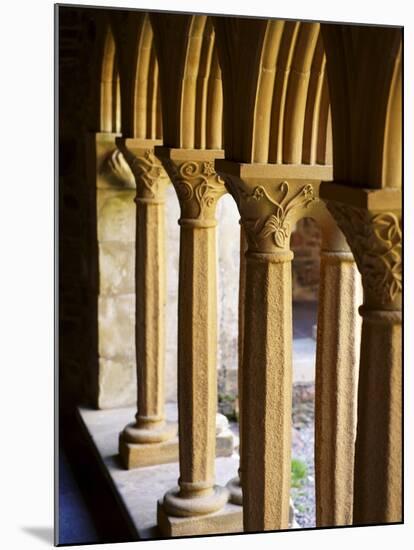 Finely Carved Capitals in the Cloisters, Iona Abbey, Isle of Iona, Scotland, United Kingdom, Europe-Patrick Dieudonne-Mounted Photographic Print