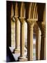 Finely Carved Capitals in the Cloisters, Iona Abbey, Isle of Iona, Scotland, United Kingdom, Europe-Patrick Dieudonne-Mounted Photographic Print