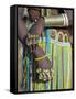 Finery of a Datoga Woman, Tanzania-Nigel Pavitt-Framed Stretched Canvas