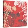 Finest Floral-Bee Sturgis-Stretched Canvas