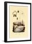 Finger Shell, 1833-39-null-Framed Giclee Print