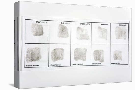 Fingerprint Record Card-Victor De Schwanberg-Stretched Canvas