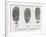 Fingerprint Types, 17th Century-Middle Temple Library-Framed Photographic Print