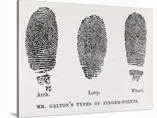 Fingerprint Types, 17th Century-Middle Temple Library-Stretched Canvas
