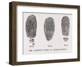 Fingerprint Types, 17th Century-Middle Temple Library-Framed Photographic Print