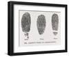 Fingerprint Types, 17th Century-Middle Temple Library-Framed Photographic Print