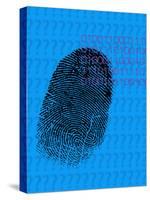 Fingerprint-David Nicholls-Stretched Canvas