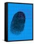 Fingerprint-David Nicholls-Framed Stretched Canvas