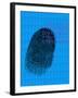 Fingerprint-David Nicholls-Framed Photographic Print