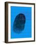 Fingerprint-David Nicholls-Framed Photographic Print