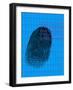 Fingerprint-David Nicholls-Framed Photographic Print