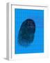 Fingerprint-David Nicholls-Framed Photographic Print